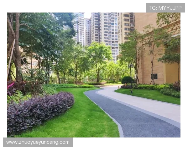 南宫壹号国际:绿色生态环境与智能家居系统,打造智慧宜居的未来社区 南宫壹号国际:绿色生态环境与智能家居系统,打造智慧宜居的未来社区