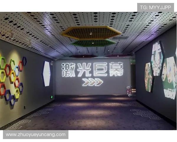 壹号娱乐电脑版常用设置调整指南，打造个性化娱乐空间