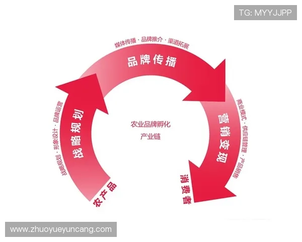 壹号app在线登录官网入口常见问题及解决方案全方位指导